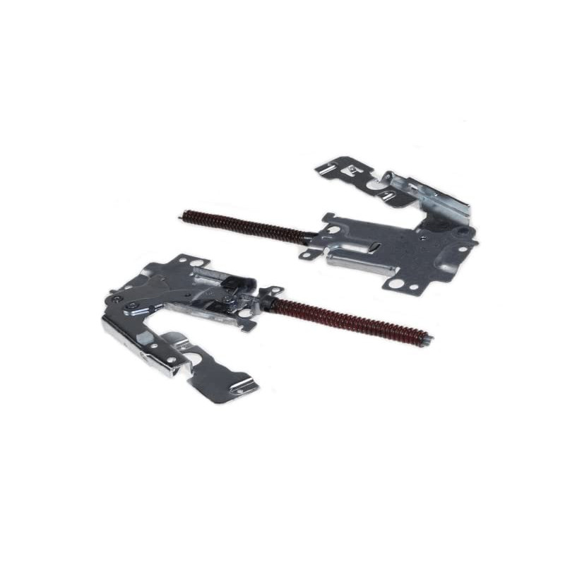ENSEMBLE CHARNIÈRE DE PORTE pour LAVE VAISSELLE ELECTROLUX - 4055031548