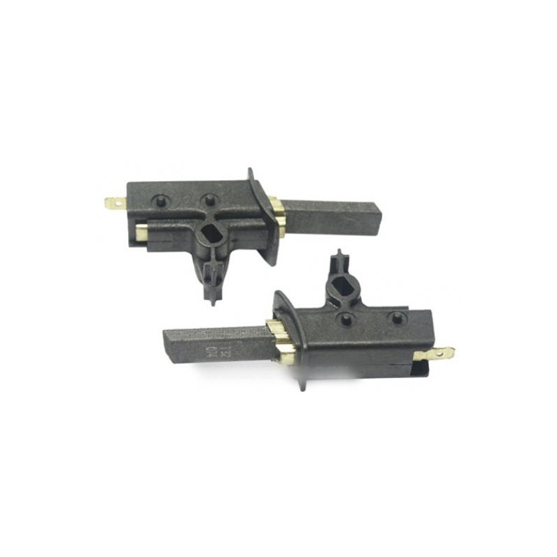 charbons moteur selni kit de 2