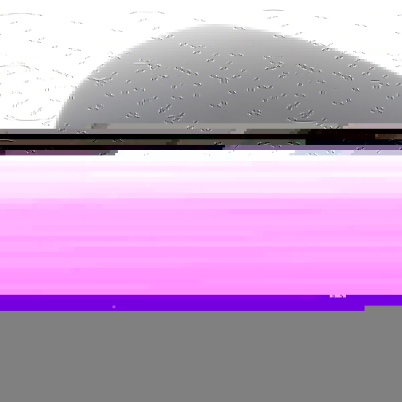 Resistance de sole 1300W d'origine Four, cuisinière C00141176 ARISTON HOTPOINT HOTPOINT Four, cuisinière C00141176 ARISTON HOTPO