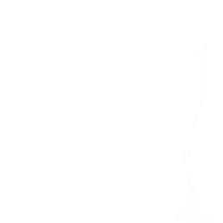 Amortisseurs Lave-linge C00303588 ARISTON HOTPOINT HOTPOINT