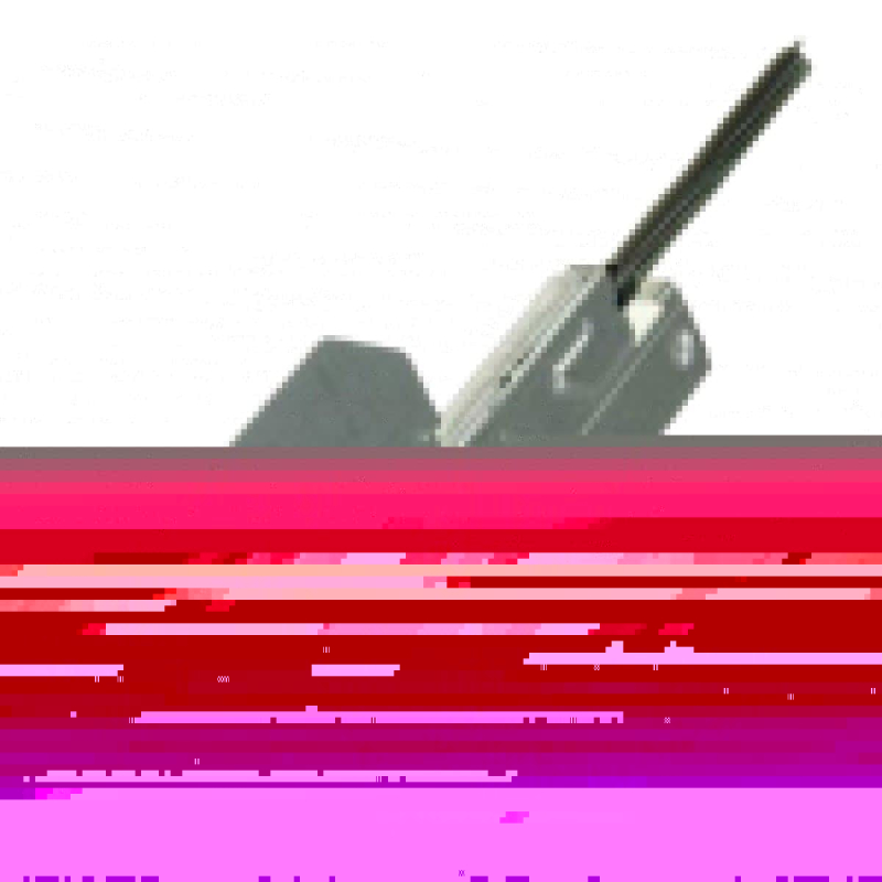 Charnière droite de porte d'origine Lave-vaisselle C00295775, C00538167 INDESIT