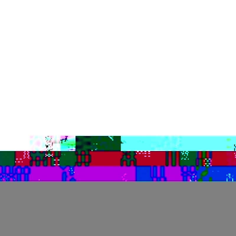 Thermostat électronique Réfrigérateur, congélateur 481010693288 WHIRLPOOL