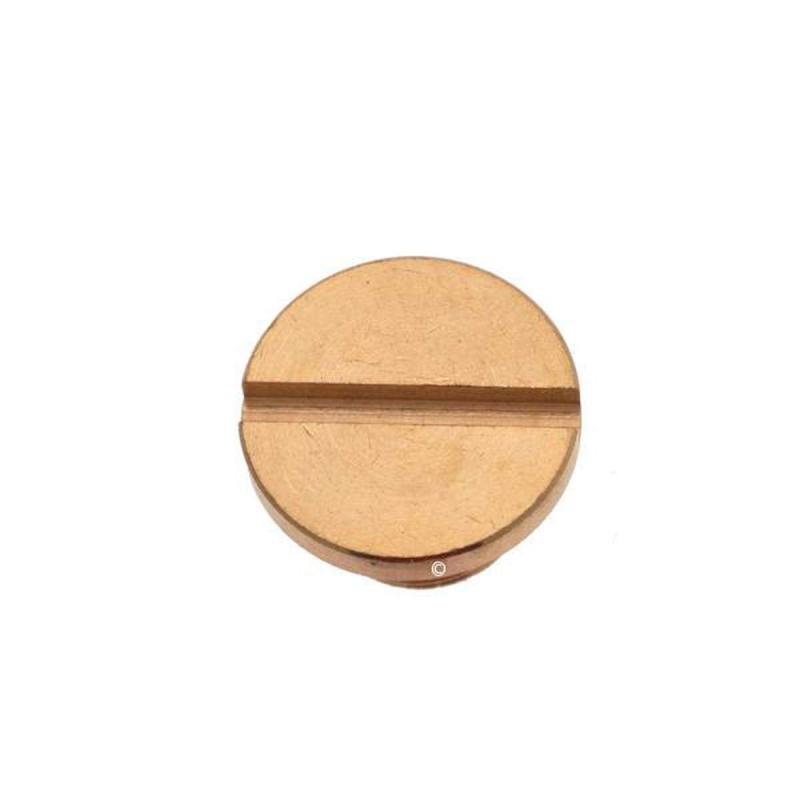 Bouchon de vidange Centrale vapeur 500582773 ASTORIA