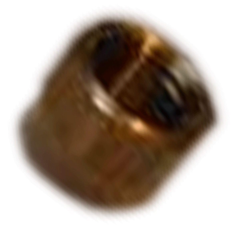 Taªte hexagonale thermo (TC) d'origine C00095765 SCHOLTES