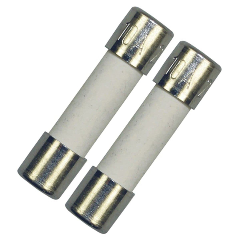 Lot de 2 fusibles electriques 10A 5x20mm d'origine 00029469 BOSCH B/S/H