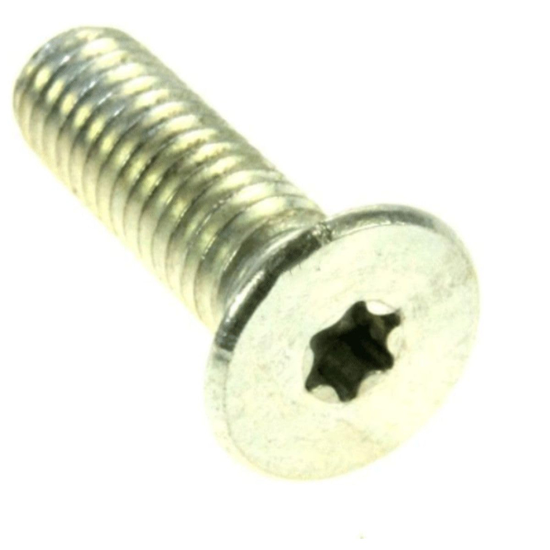 Vis fixe verre d'origine C00118445 SCHOLTES