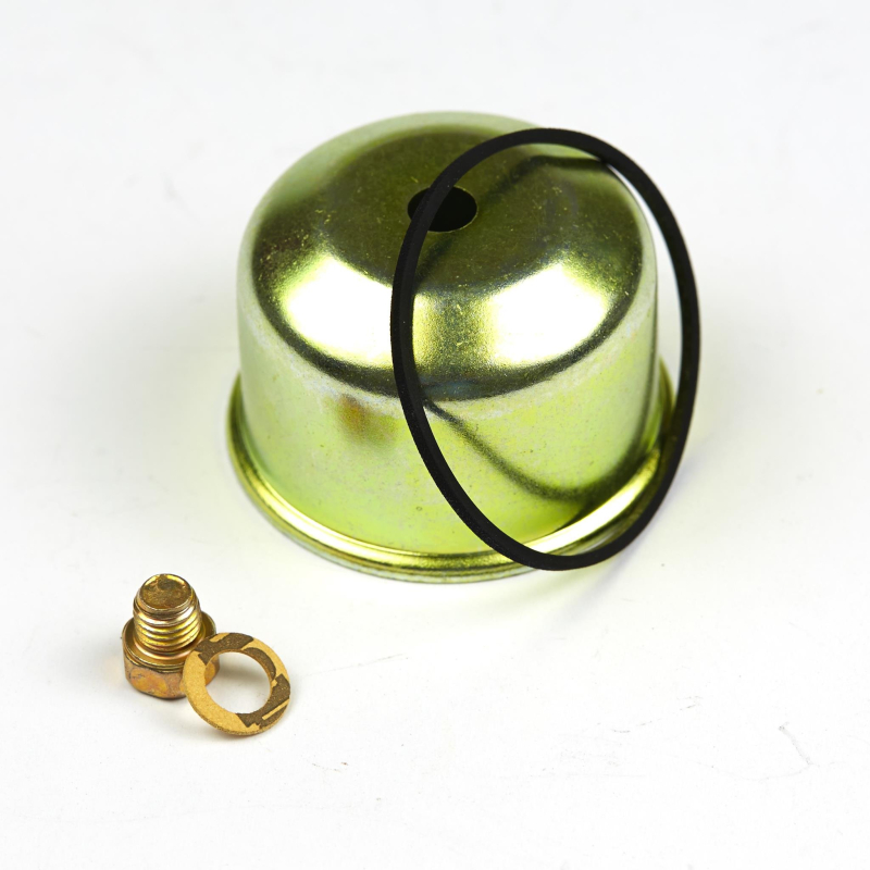 Briggs and Stratton 495933 Flotteur