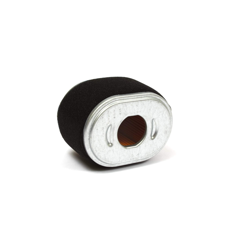 Briggs & Stratton 590601 Filtre à air, Multicolore