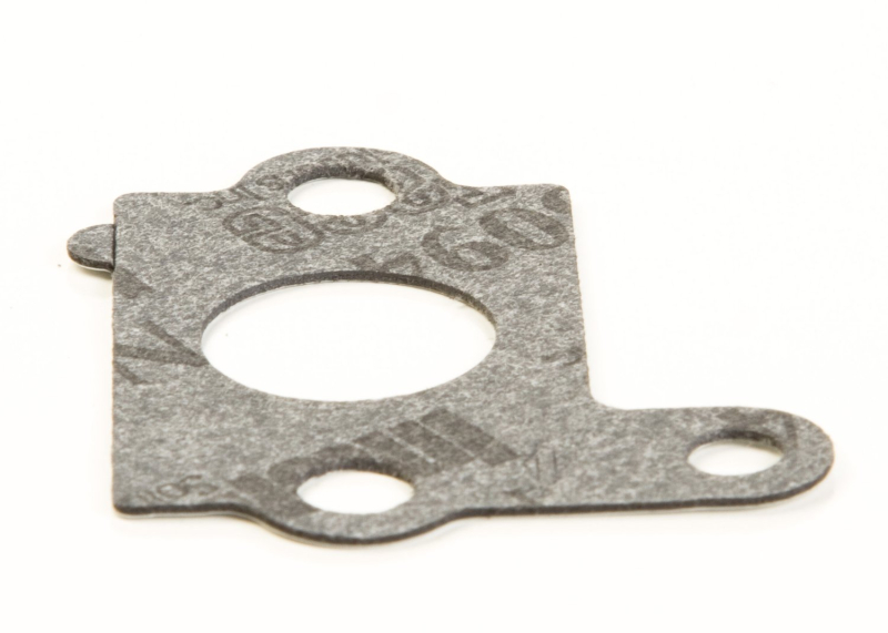 Briggs & Stratton 692668 d'admission Joint d'étanchéité de remplacement