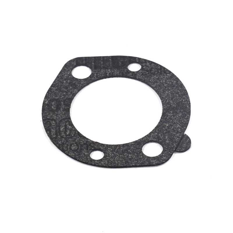 Briggs & Stratton 696024 Pièce de rechange pour joint de filtre à air