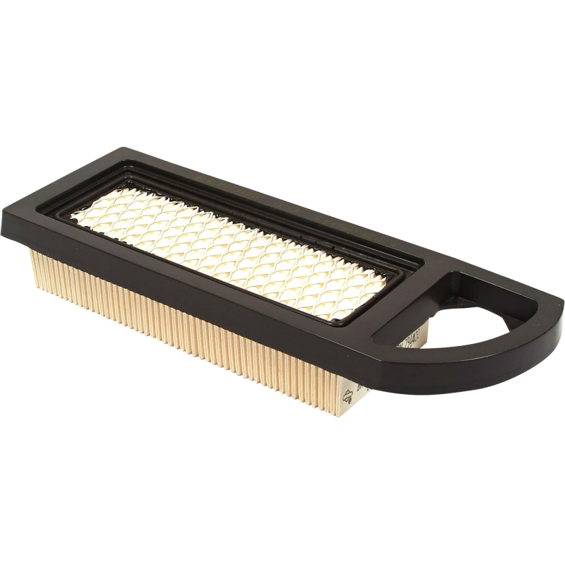 Cartouche Filtre À Air Briggs Et Straton 795115