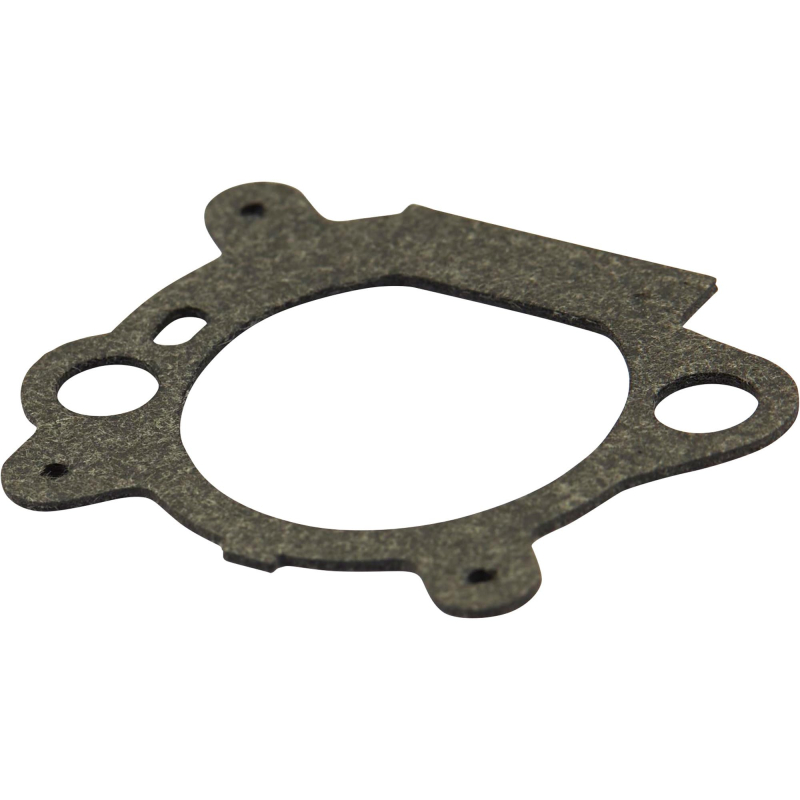 Filtre à air & joint briggs stratton 795629