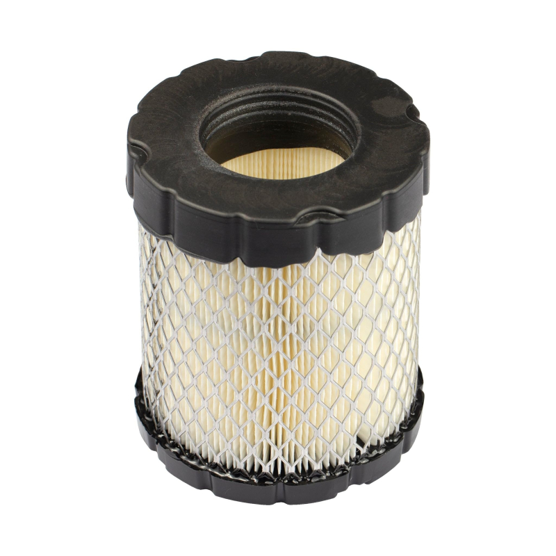 Briggs & Stratton 798897 Filtre à air, Noir