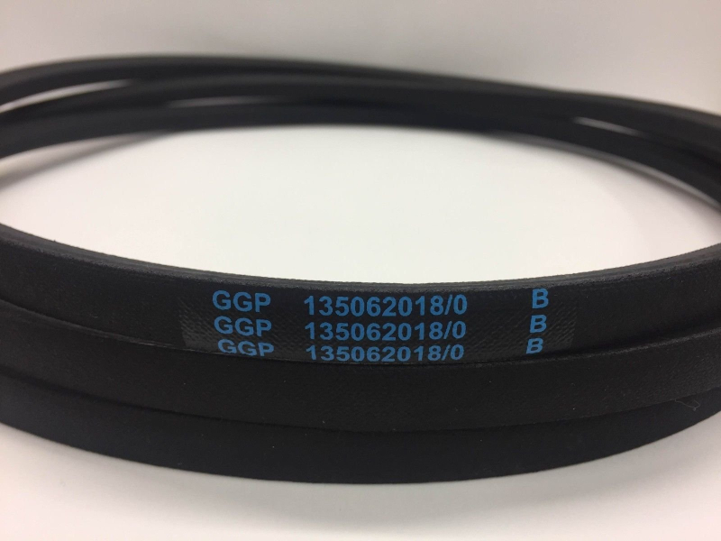 Courroie d'entraînement pour tondeuse à gazon 135062018/0