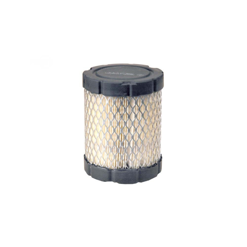 Rotary 14158 - Filtre A Air (Cartouche) B&S