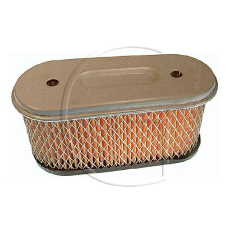Filtre À Air Briggs & Stratton 491021