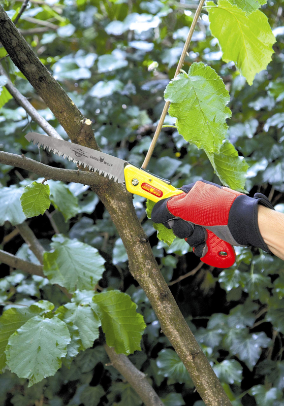 Couteau Scie Repliable Wolf ORK