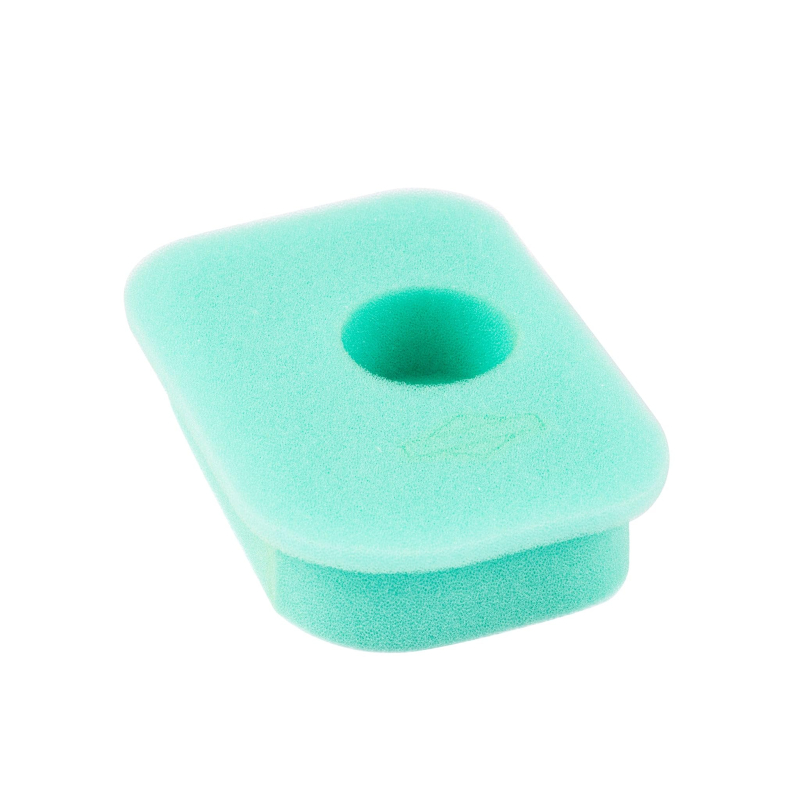 Briggs and Stratton 310035 Filtre, Multicolore