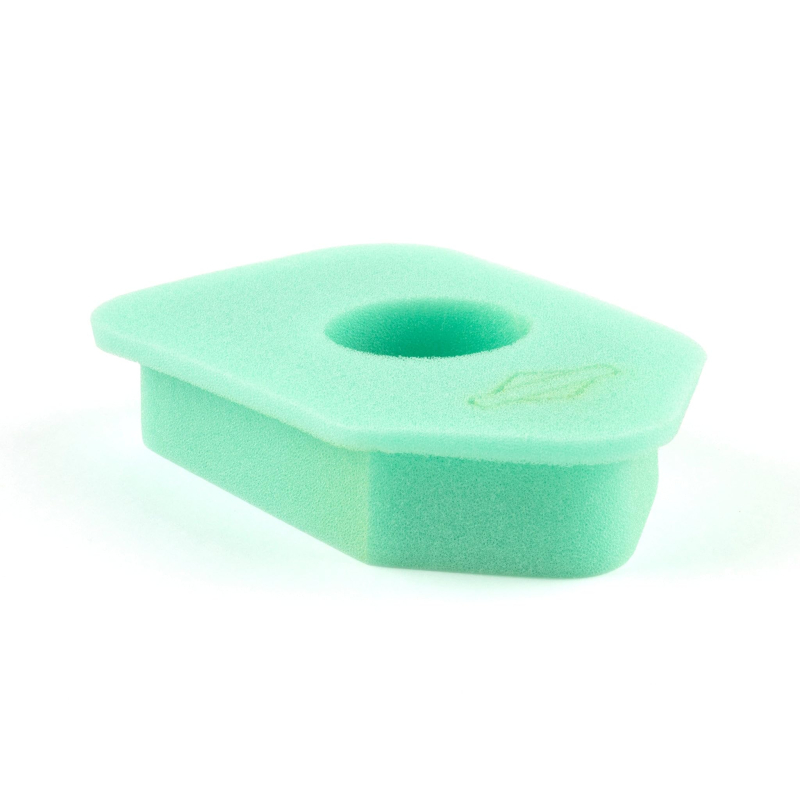 Briggs & Stratton 272235S Filtre à air en Mousse Vert Classic. Moteurs Sprint et Quattro