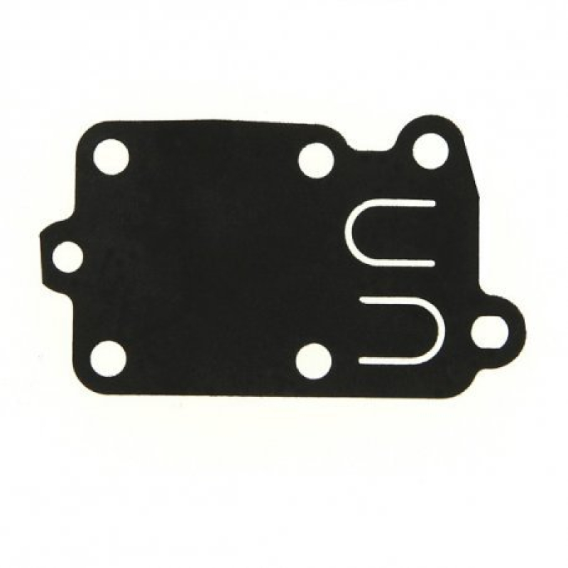 Membrane carburateur Briggs et Stratton 272538S