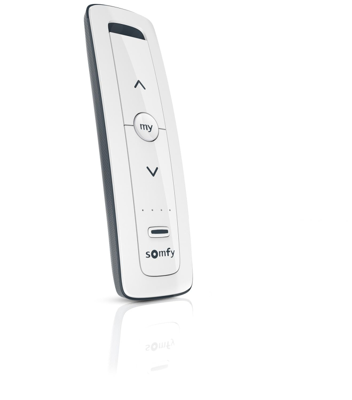Somfy 1870495 - Télécommande pour Volets et Stores motorisés - Situo 5 RTS Pure | pour Commander 5 Moteurs ou 5 Groupes de Moteu