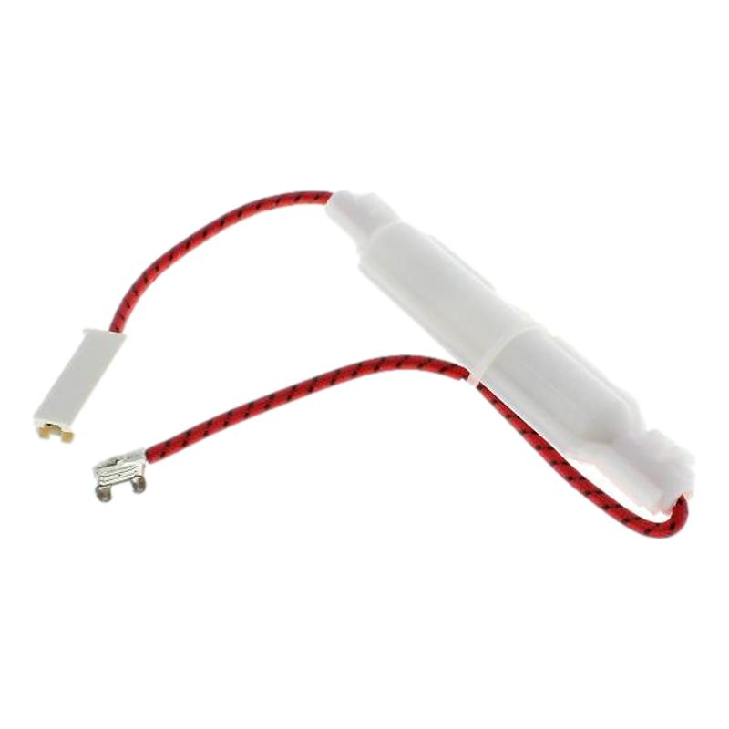 FUSIBLE H.T. MICRO-ONDES C00566594 