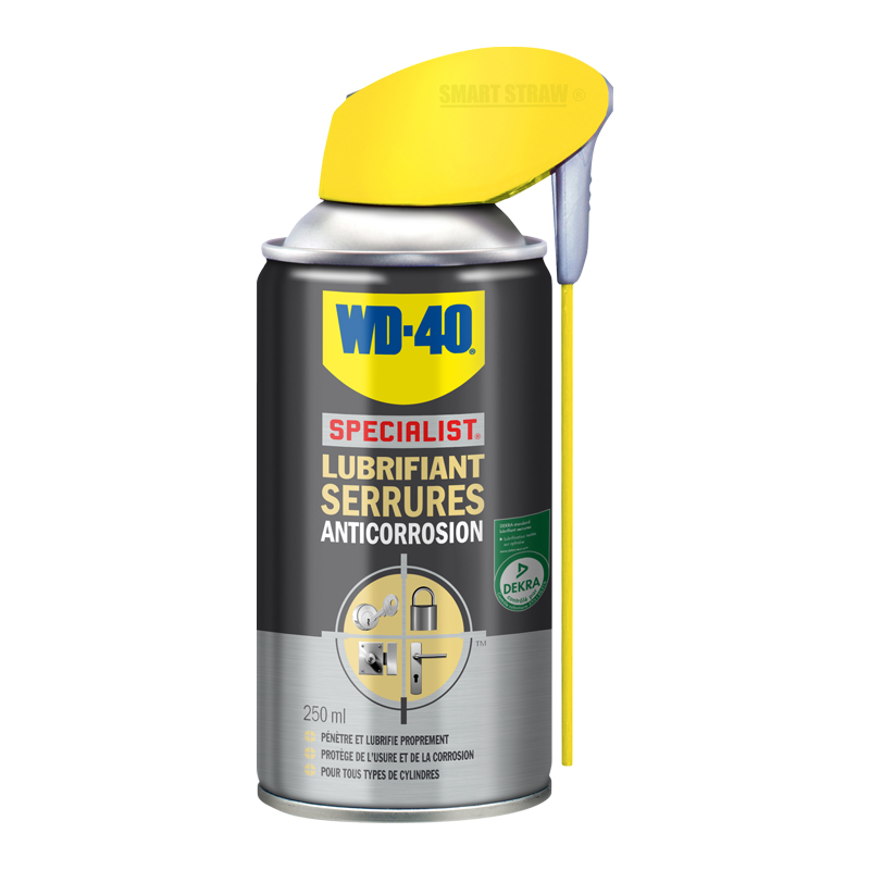 LUBRIFIANT SERRURES 250ML 33303 WD40