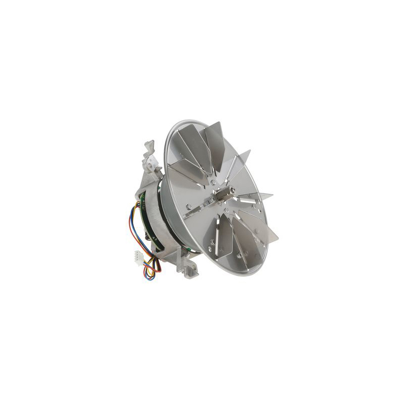 Ventilateur du moteur