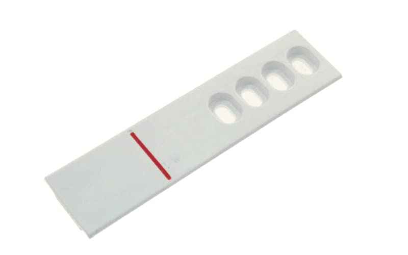 GLISSIERE SUR PORTE INTEGREE pour REFRIGERATEUR PROLINE - 42033308