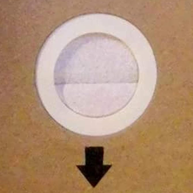 Domo Sac d'aspirateur en papier DO7283S-Set2 pour DO7283S/DO7284S 2,5 l