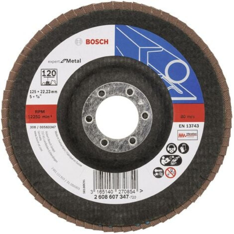 Bosch Accessories 2608607347 X551 Disque segmenté Diamètre 125 mm Ø de perçage 22.33 mm acier 1 pc(s) X985552