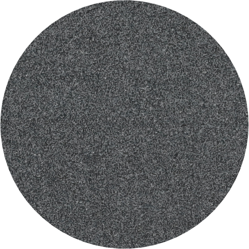 Bosch 10x Disque abrasif PRO Plastic and Hard Stone F355 (pour Béton, Pierre dure, Ø 125 mm, Grain 60, Professional Accessoire P