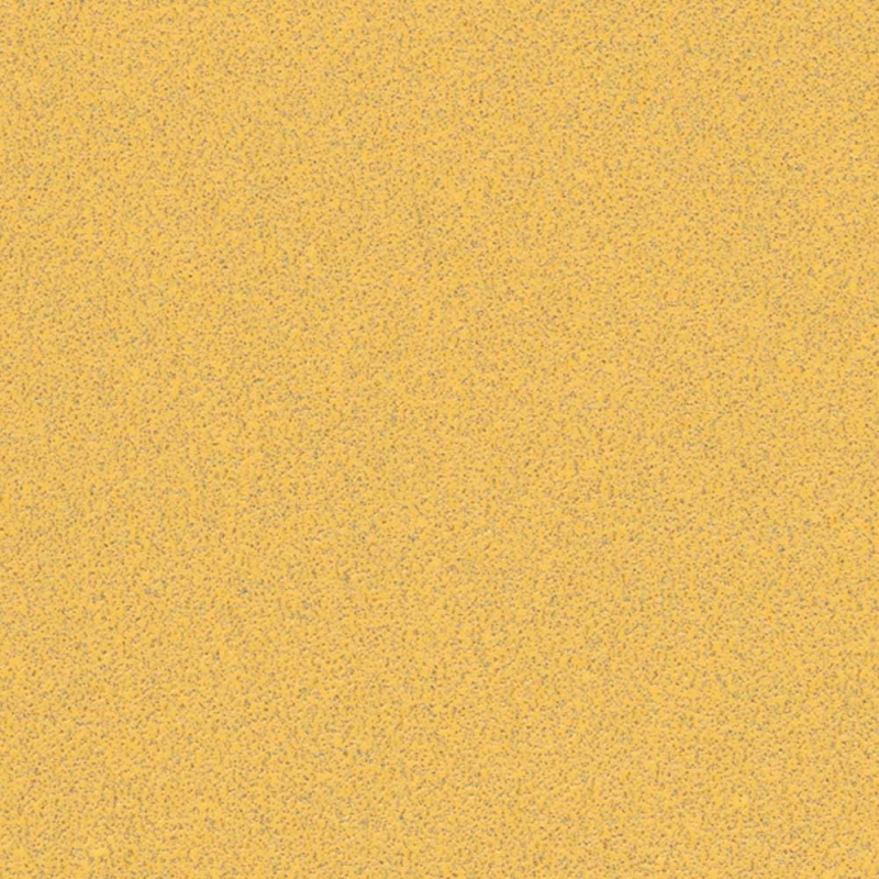 Bosch 10x Feuilles abrasives EXPERT C470 sans trous (pour Peinture sur bois, Bois dur, Ø 93x230 mm, Grain 80, Professional Acces