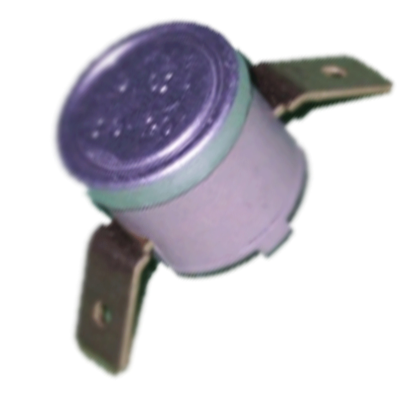 Thermostat 95 MAGIMIX 502217