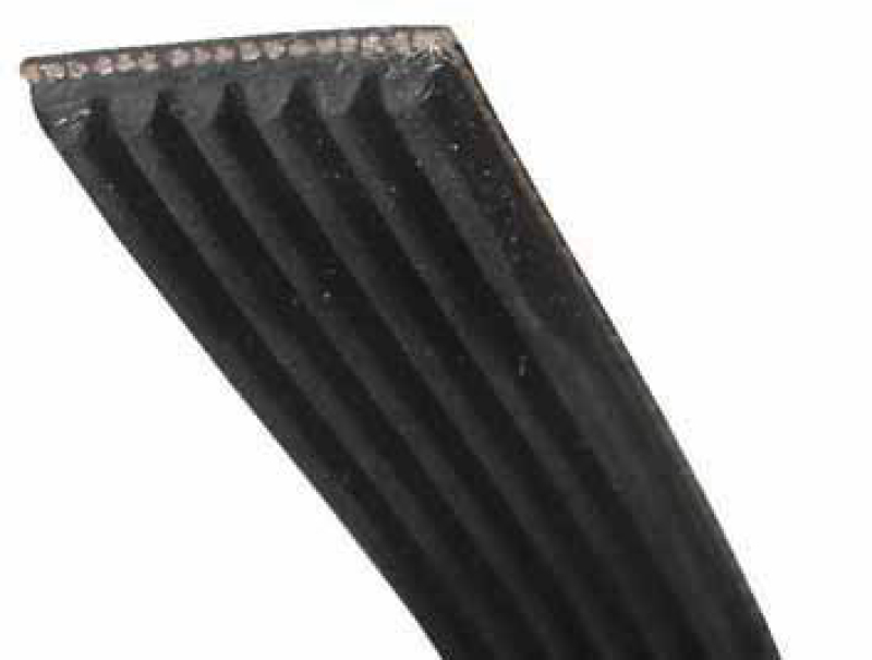 Courroie générique (1930 opt) pour Sèche-linge GORENJE 606532