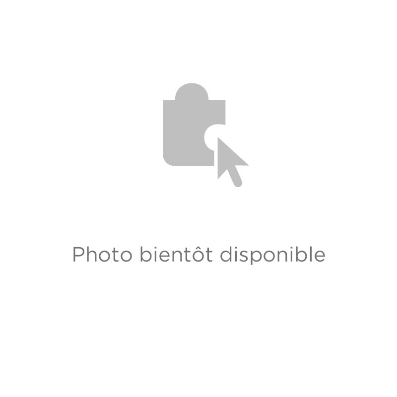 Corps inférieur noir pour Aspirateur SEB RSRH5461