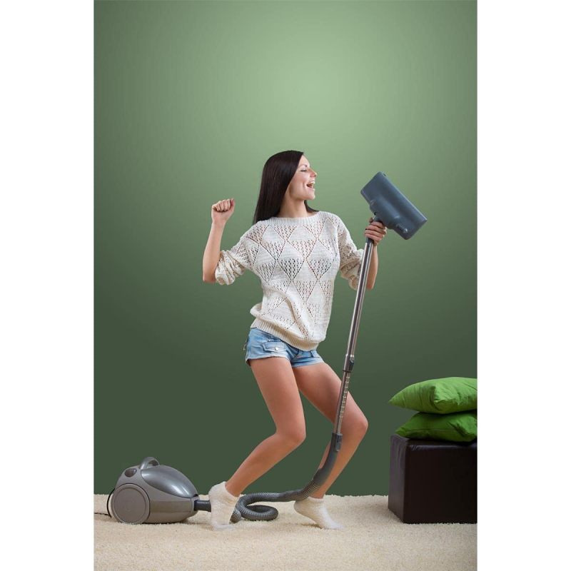 SWIRL Boite de 4 Sac aspirateur Y 101 plus filtre MicroporPlus