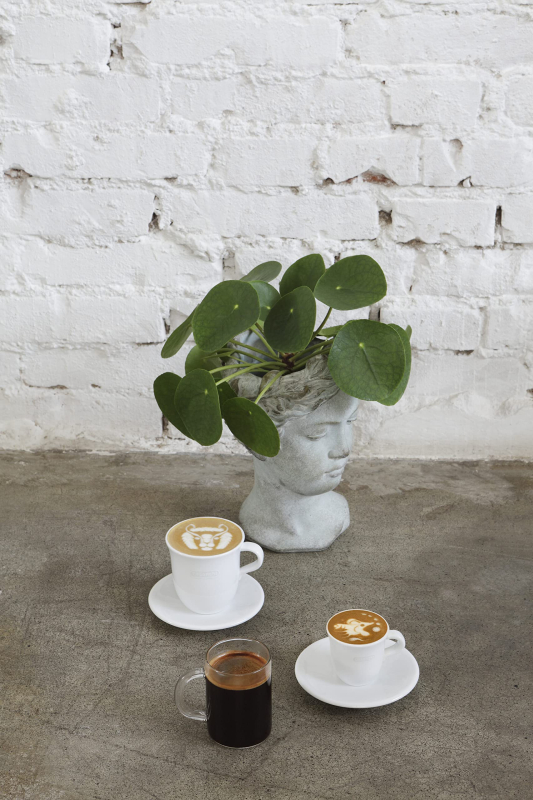 DLSC617 GRAINS DE CAFÉ SELEZIONE DE'LONGHI 1 KG