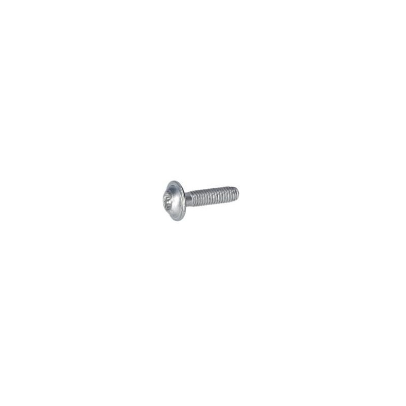 Vis à tête bombée torx pour Marteau perforateur BOSCH OUTILLAGES - 160343000V