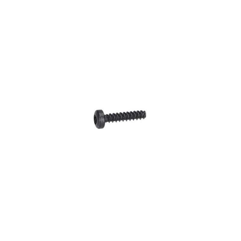 Vis à tête bombée torx pour Marteau perforateur BOSCH OUTILLAGES - 1613435036