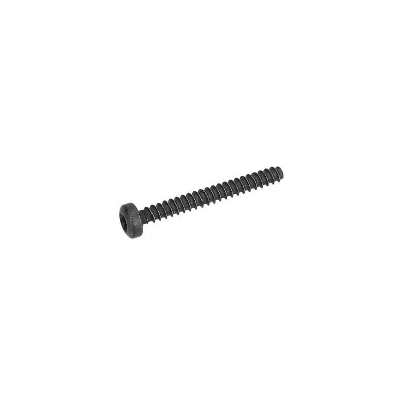 Vis à tête bombée torx pour Marteau perforateur BOSCH OUTILLAGES - 1613435039