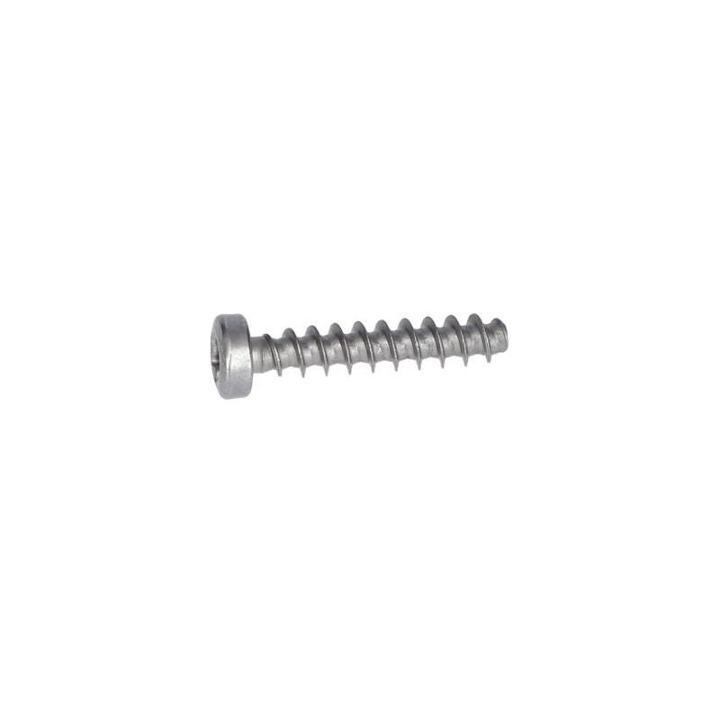 Vis à tête bombée torx pour Marteau perforateur BOSCH OUTILLAGES - 1613435040