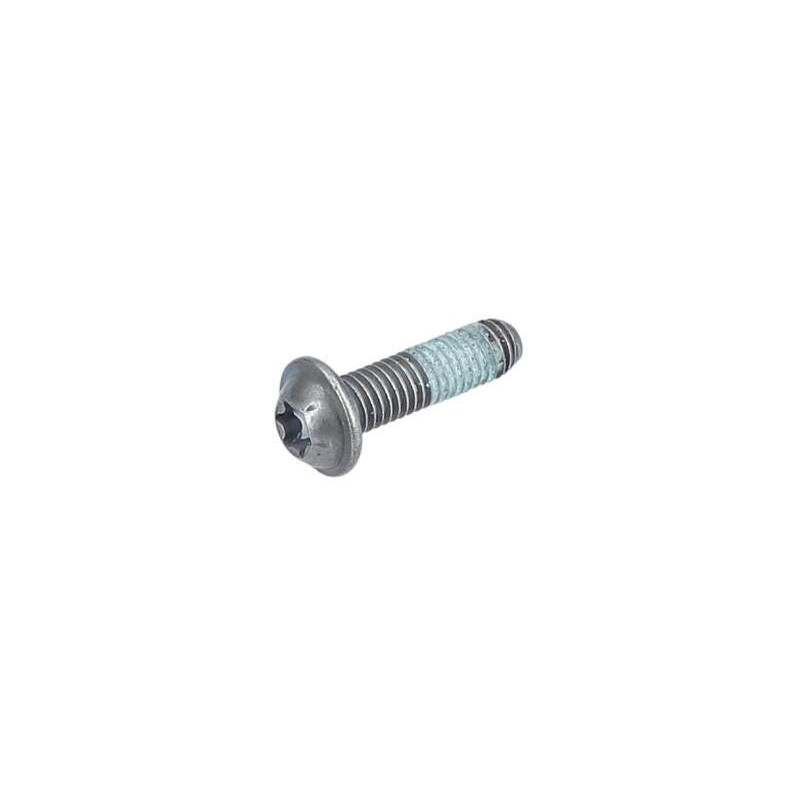 Vis à tête bombée torx pour Marteau perforateur BOSCH OUTILLAGES - 1613490024