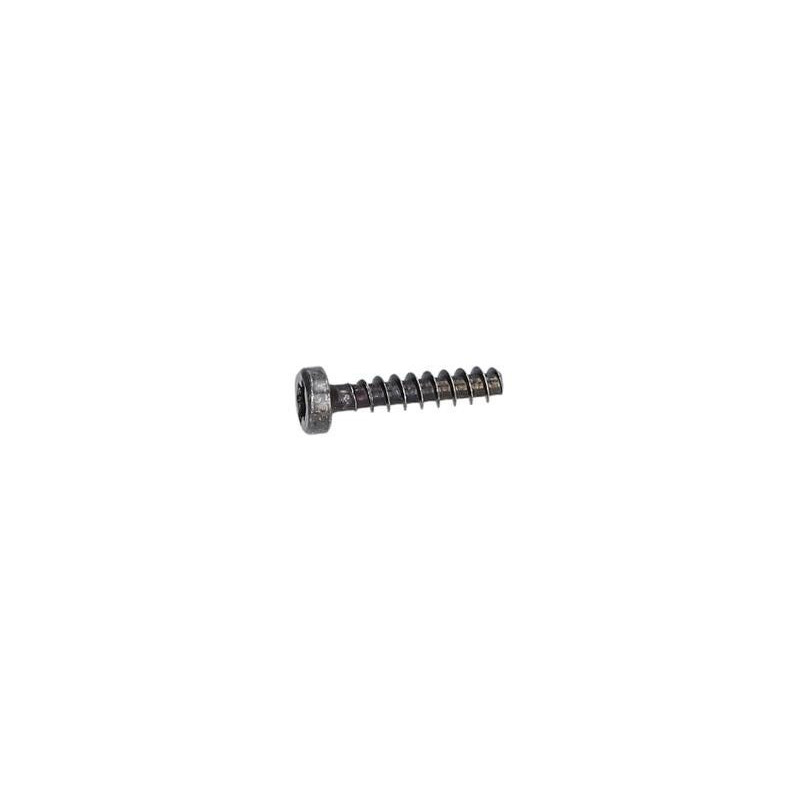 Vis à tête bombée torx pour Marteau perforateur BOSCH OUTILLAGES - 1619P00105