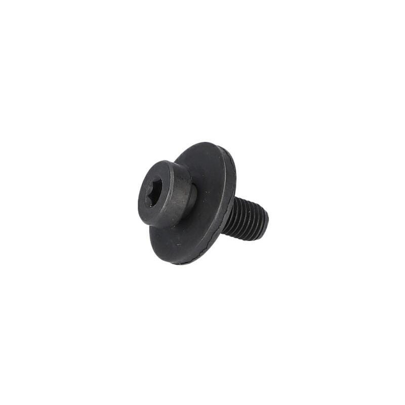 Vis de serrage pour Scie circulaire BOSCH OUTILLAGES - 1619P01634