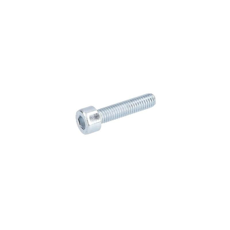 Vis cyl sixpans creux chc pour Marteau perforateur BOSCH OUTILLAGES - 2910141163
