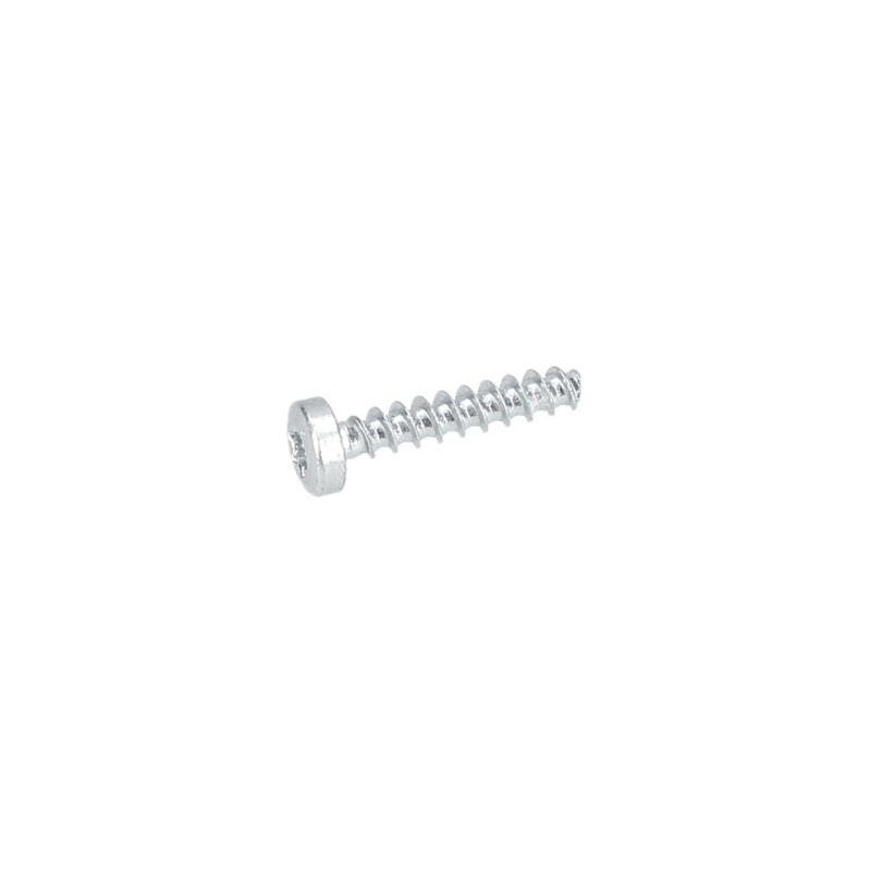 Vis à tête bombée torx pour Marteau perforateur BOSCH OUTILLAGES - 2914201507