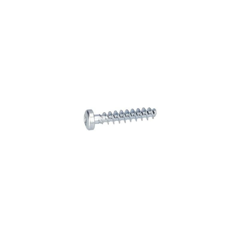 Vis à tête bombée torx pour Marteau perforateur BOSCH OUTILLAGES - 2914201529