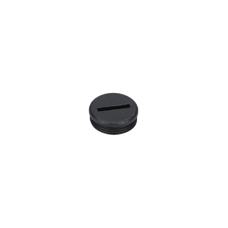 Bouchon filete pour Marteau perforateur BOSCH OUTILLAGES - 3600313011
