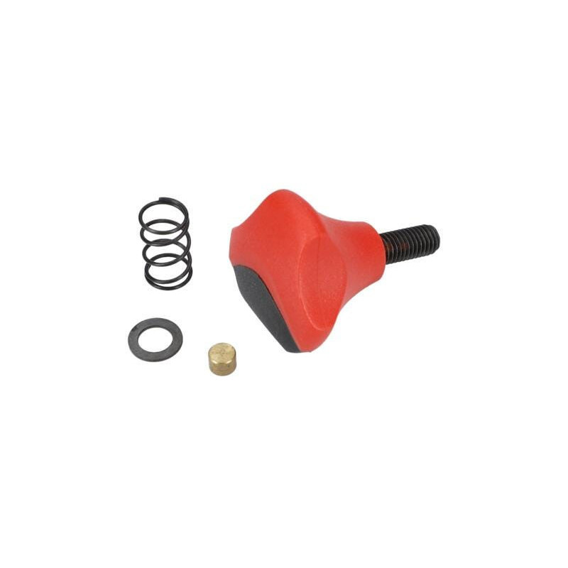 Vis de serrage pour Scie à onglets BOSCH OUTILLAGES - 1609203T84